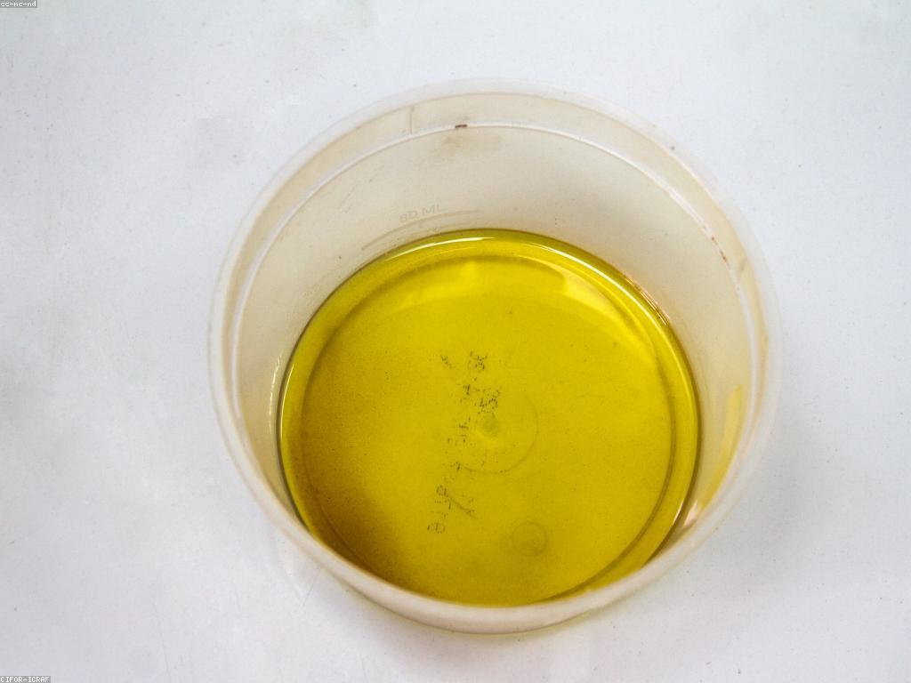 វិធីសាស្ត្របង្កើនចំណូលសម្រាប់អាជីវកម្មតូច